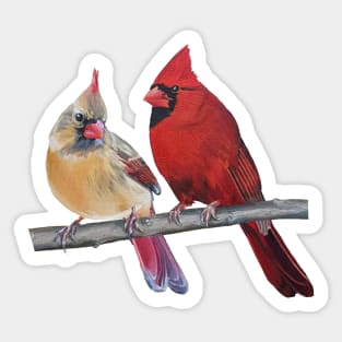 Northern Cardinal Pair painting (no background) Sticker